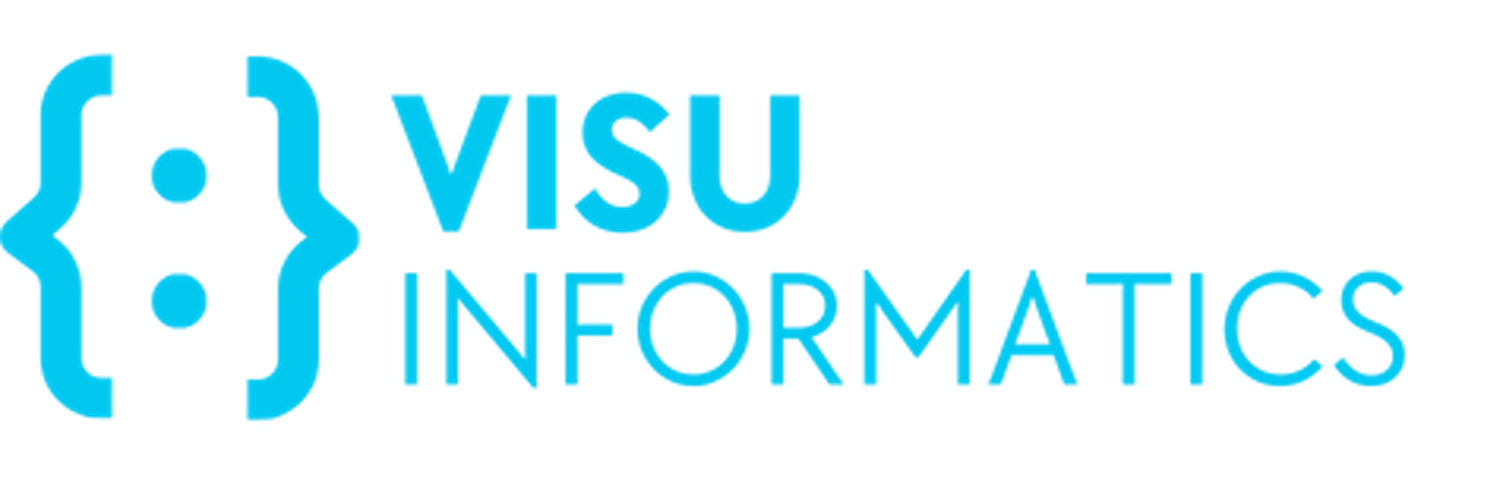 VISU Informatics Logo